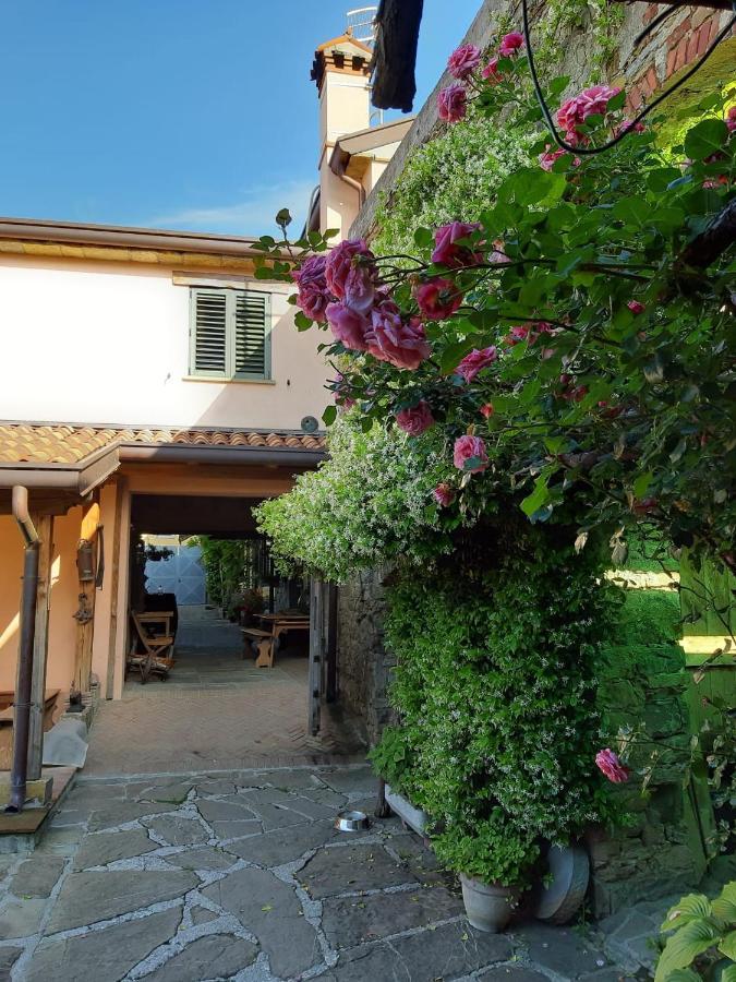 Bed and Breakfast Il Glicine San Dorligo della Valle Exterior foto