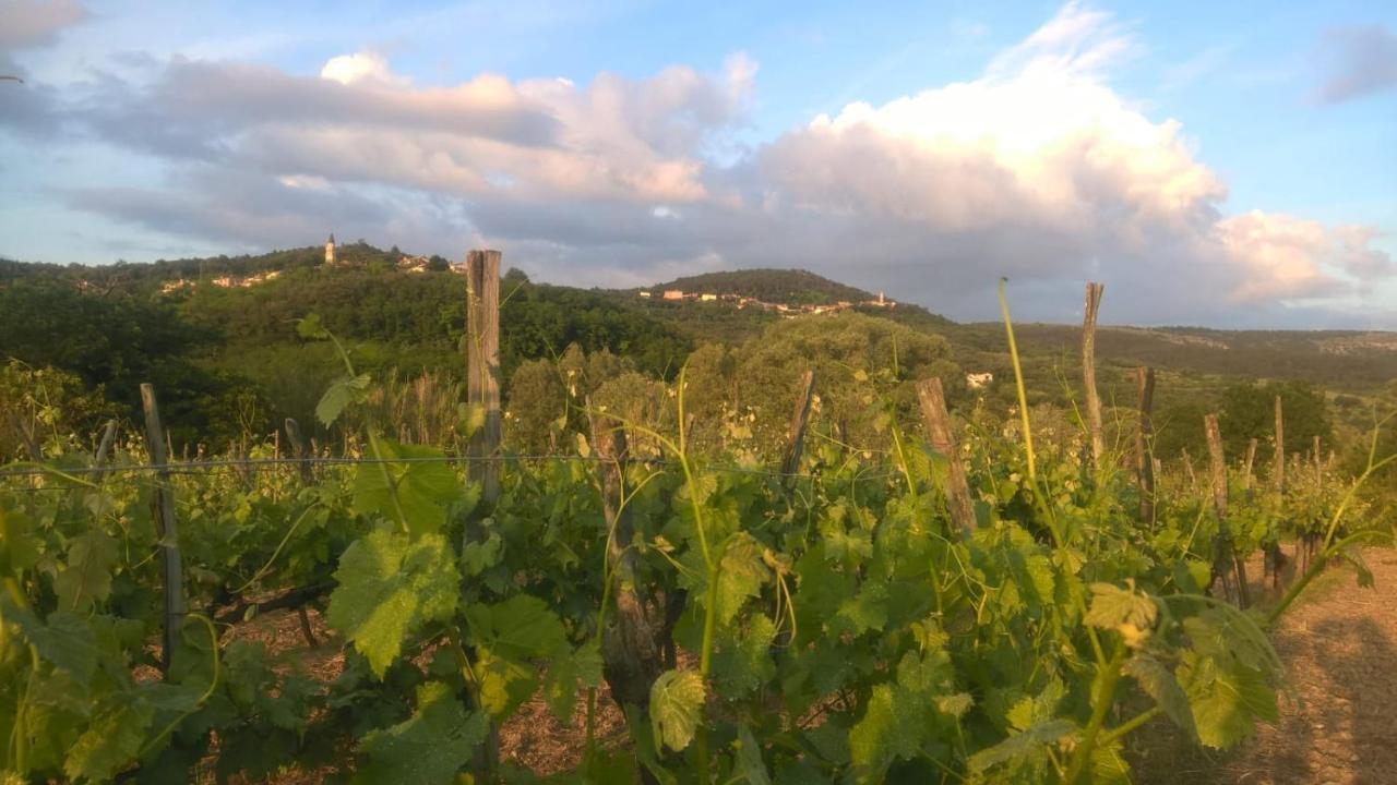 Bed and Breakfast Il Glicine San Dorligo della Valle Exterior foto