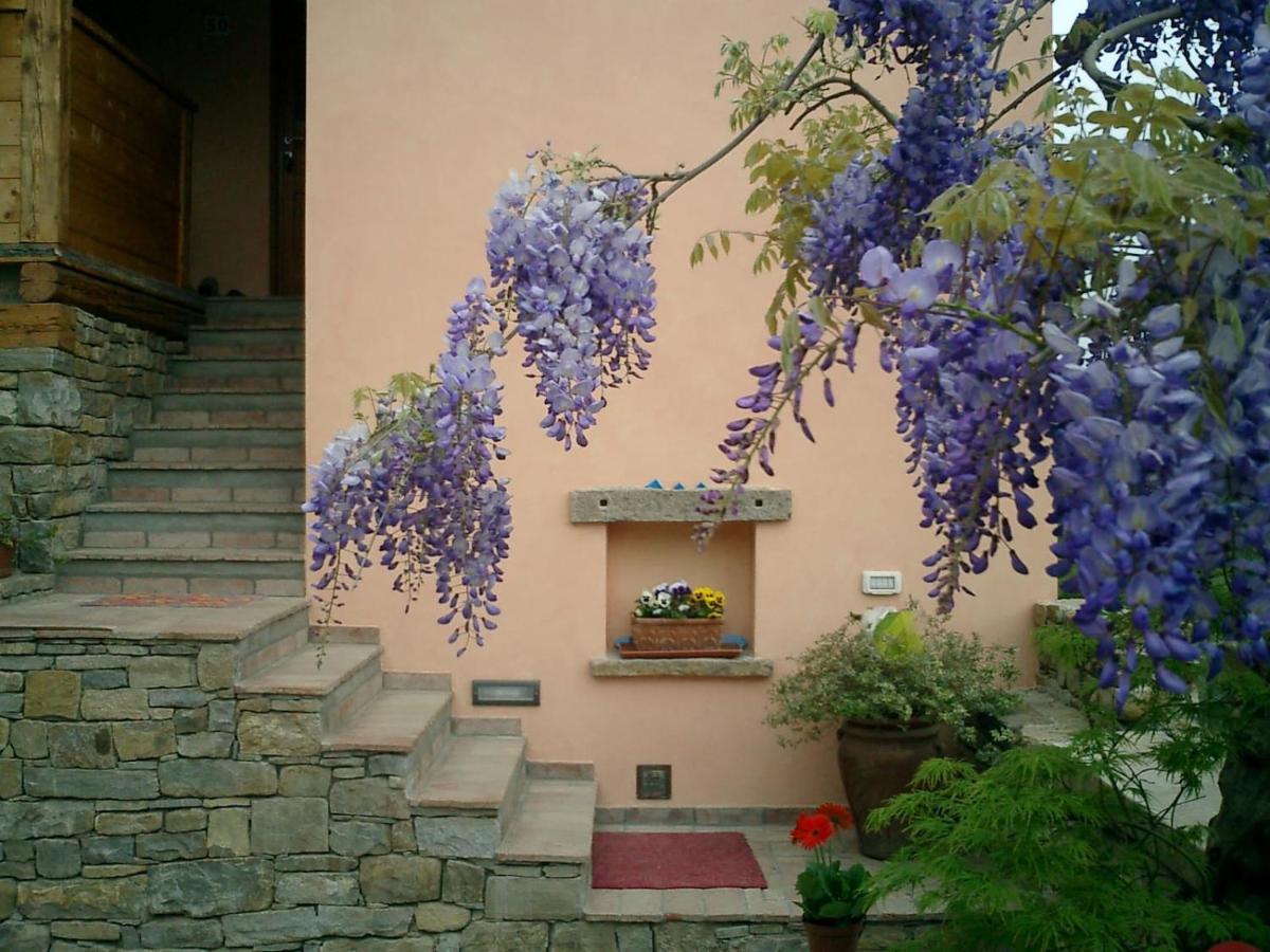 Bed and Breakfast Il Glicine San Dorligo della Valle Exterior foto