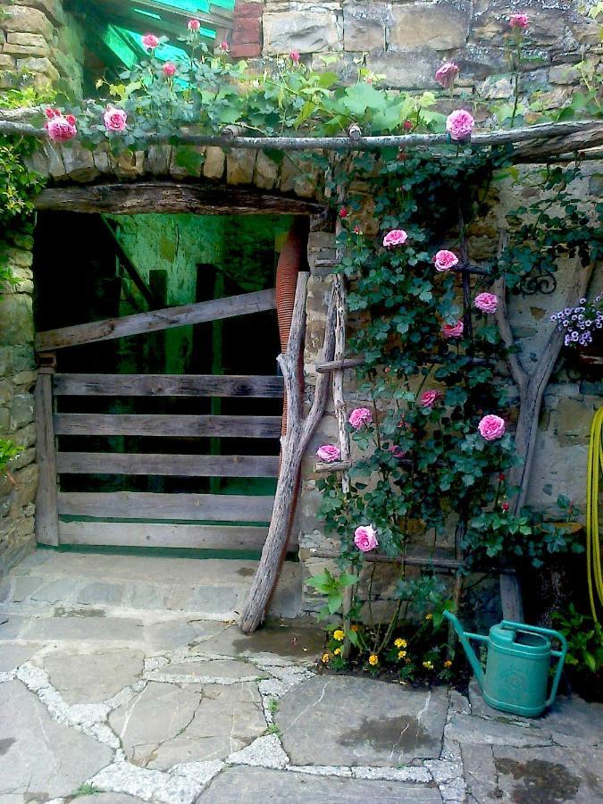 Bed and Breakfast Il Glicine San Dorligo della Valle Exterior foto