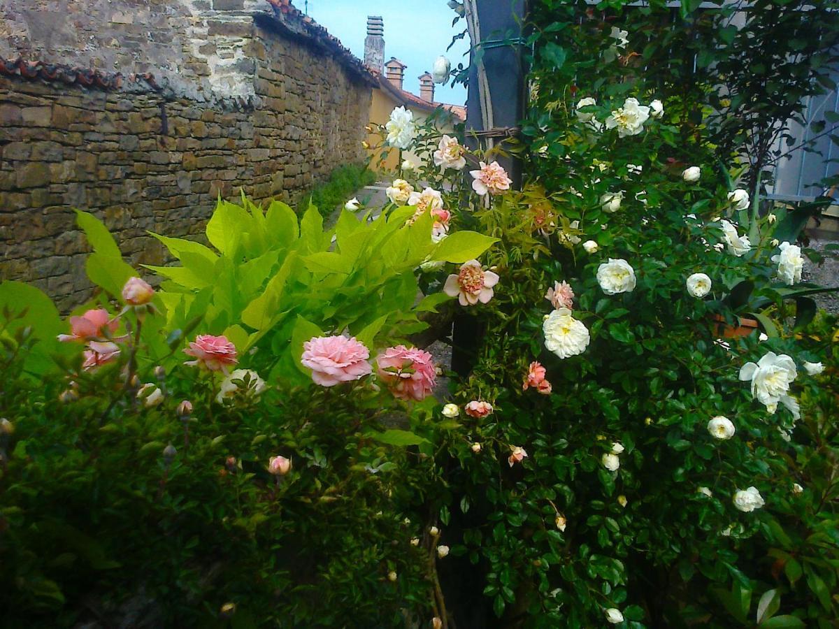 Bed and Breakfast Il Glicine San Dorligo della Valle Exterior foto