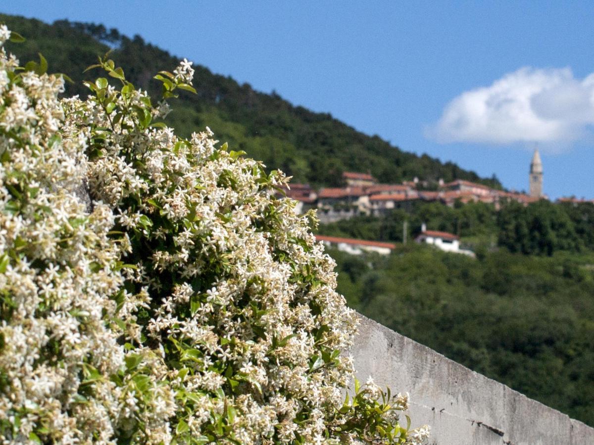 Bed and Breakfast Il Glicine San Dorligo della Valle Exterior foto