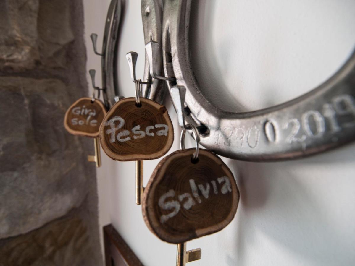 Bed and Breakfast Il Glicine San Dorligo della Valle Exterior foto